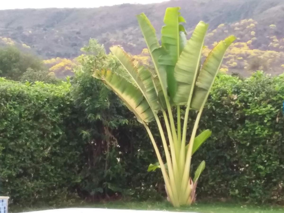 Bed and Breakfast C&H Casa Campestre El Oasis Ricaurte Girardot Екстер'єр фото